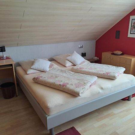 Ferienwohnung Seegarten Waldbuttelbrunn المظهر الخارجي الصورة